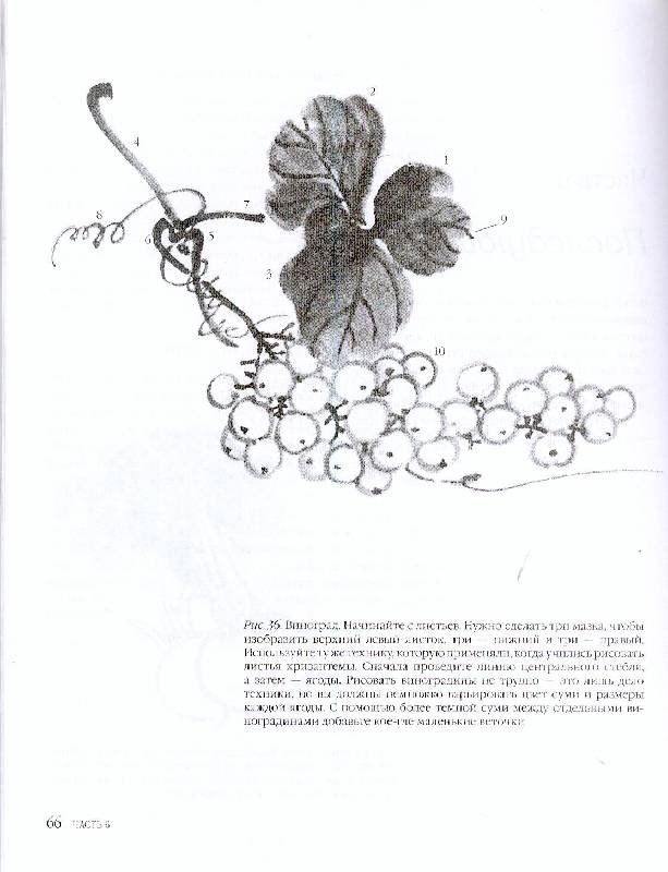 Иллюстрация 23 из 25 для Японская живопись тушью в стиле суйбоку - Рюкю Саито | Лабиринт - книги. Источник: juli972