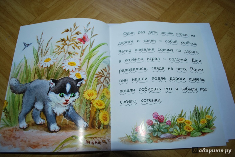 Котик сказка читать. Л Н толстой сказка котенок. Лев Николаевич толстой сказка котенок. Котенок л.н.толстой текст. Рассказ котенок.