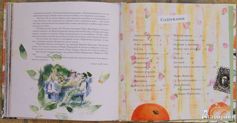 Иллюстрация 17 из 46 для Апельсинные корки - Мария Моравская | Лабиринт - книги. Источник: Денисенко  Яна