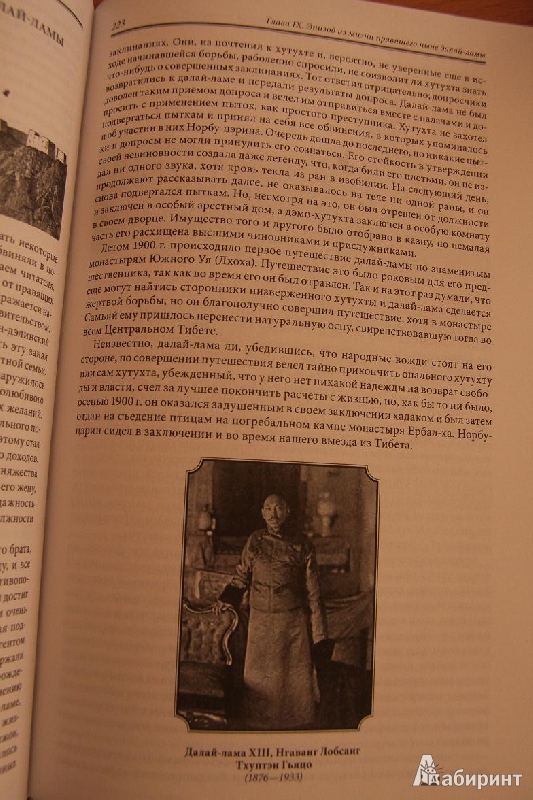 Иллюстрация 31 из 35 для Буддист-паломник у святынь Тибета - Гомбожаб Цыбиков | Лабиринт - книги. Источник: Юлия