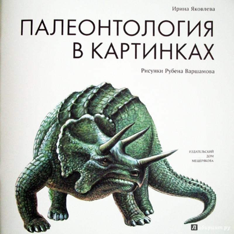Иллюстрация 6 из 66 для Палеонтология в картинках - Ирина Яковлева | Лабиринт - книги. Источник: Bliss65