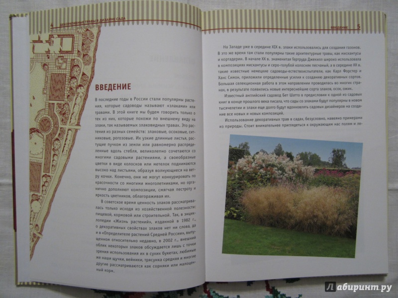 Иллюстрация 4 из 15 для Декоративные травы в дизайне сада - Т.Т Желтовская | Лабиринт - книги. Источник: A. Fragaria