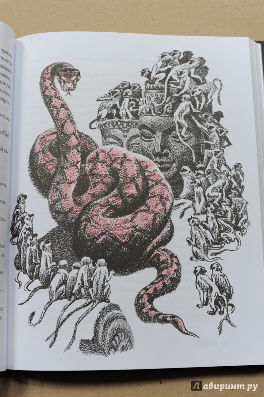 Иллюстрация 20 из 32 для Маугли - Редьярд Киплинг | Лабиринт - книги. Источник: solne4naja