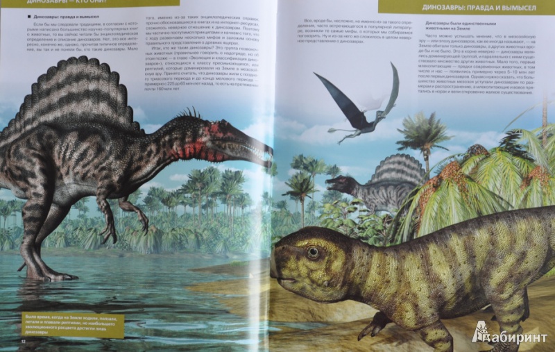Иллюстрация 2 из 37 для Динозавры - Антон Малютин | Лабиринт - книги. Источник: NDusha
