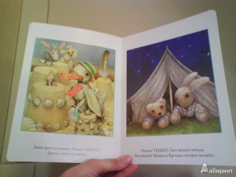 Иллюстрация 4 из 8 для Мой любимый медвежонок. Противоположности - Джейн Хисси | Лабиринт - книги. Источник: Мила
