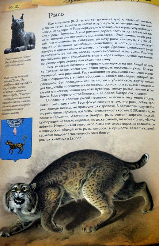 Иллюстрация 28 из 31 для Животные в мифологии - Андрей Гапченко | Лабиринт - книги. Источник: Ассоль