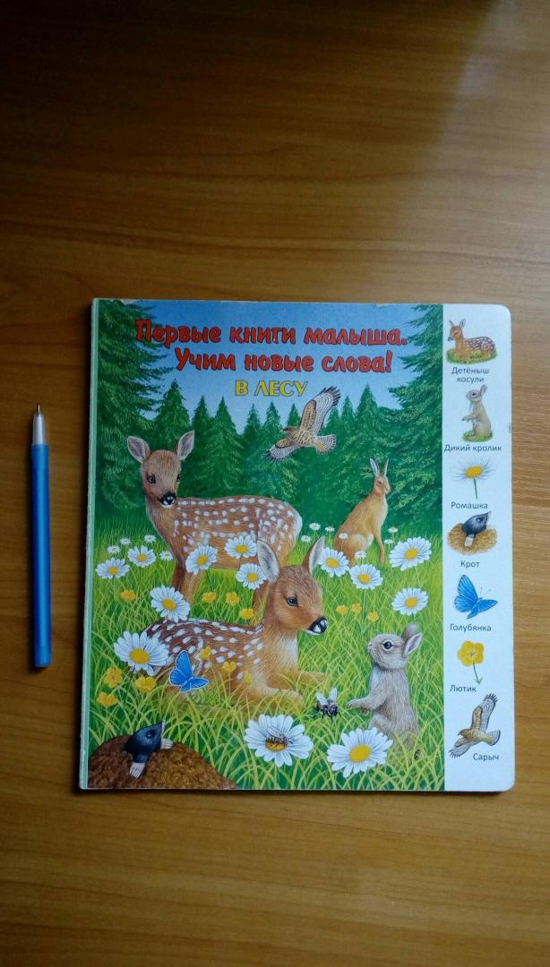 Иллюстрация 35 из 39 для В лесу | Лабиринт - книги. Источник: Irina Vladimirovna