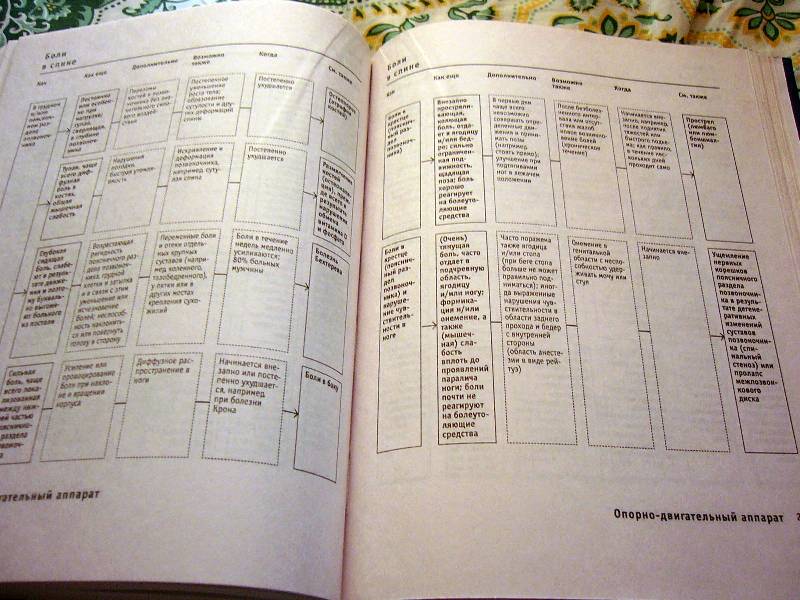 Иллюстрация 5 из 8 для Диагностический справочник в схемах и таблицах - Шенцлер, Коппенваллнер | Лабиринт - книги. Источник: Nika