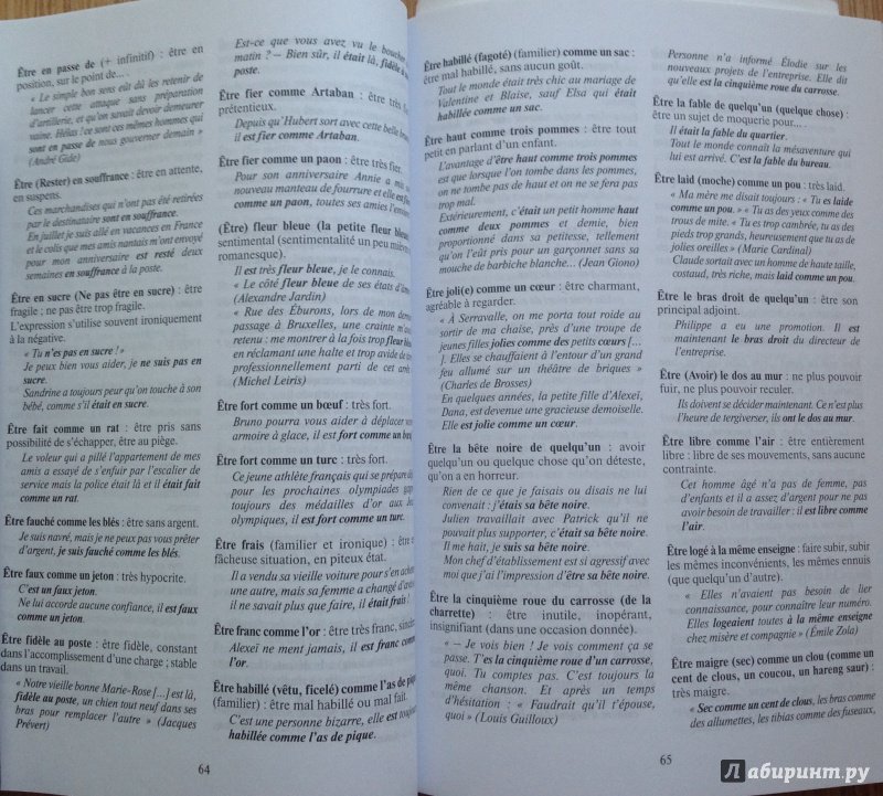 Иллюстрация 12 из 16 для Dictionnaire des expressions idiomatiques franaises - Владимир Когут | Лабиринт - книги. Источник: Nadezhda  Marchenko