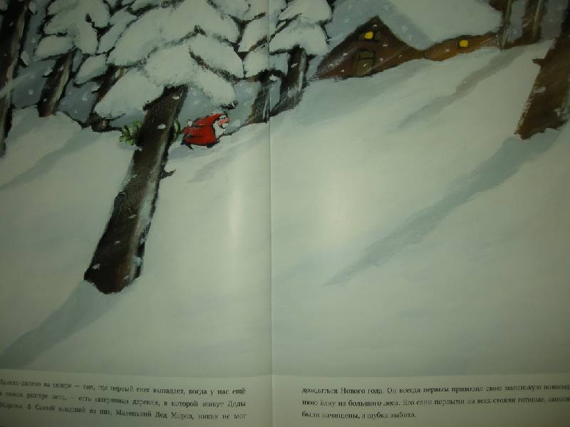 Иллюстрация 29 из 38 для Маленький Дед Мороз - Ану Штонер | Лабиринт - книги. Источник: Мартынова  Анна Владимировна
