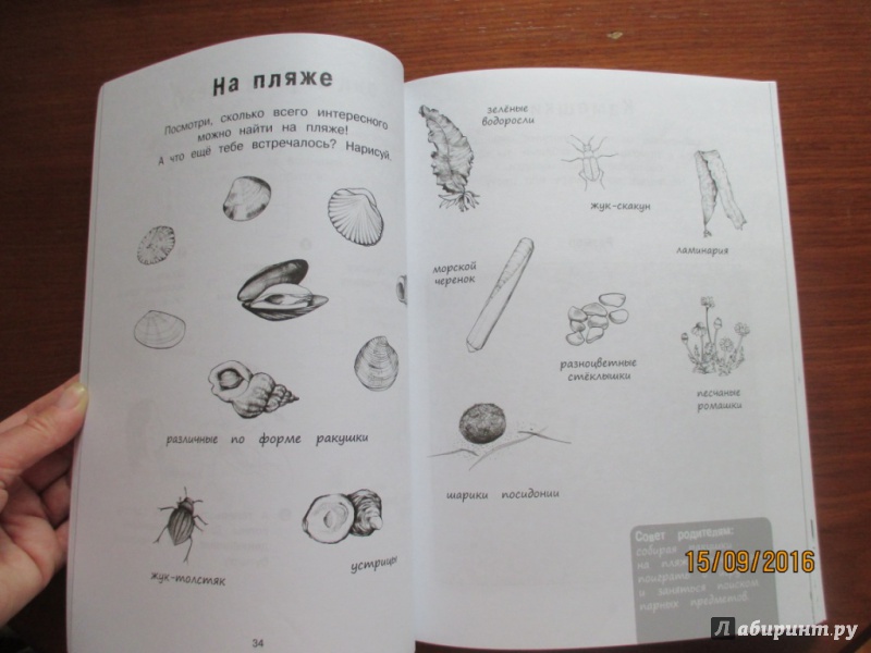Иллюстрация 28 из 33 для Я учусь с Montessori - Эва Эррманн | Лабиринт - книги. Источник: Марина Епифанцева