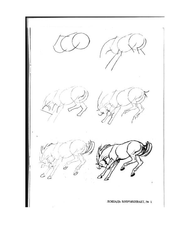 Иллюстрация 18 из 24 для Рисуем 50 лошадей - Ли Эймис | Лабиринт - книги. Источник: Юта