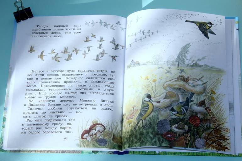 Иллюстрация 42 из 55 для Синичкин календарь - Виталий Бианки | Лабиринт - книги. Источник: Katerina