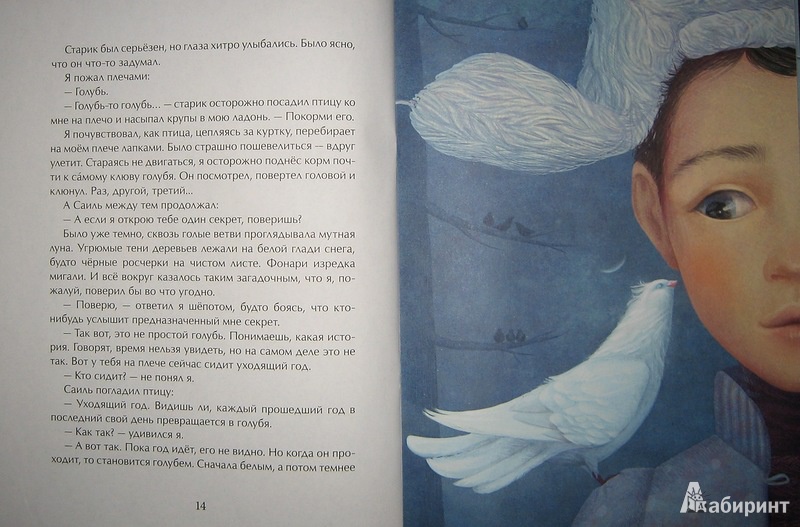 Иллюстрация 33 из 39 для Голубиная история - Александра Боровецкая | Лабиринт - книги. Источник: Трухина Ирина