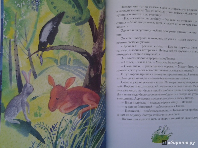 Иллюстрация 38 из 63 для Знакомая корова - Николай Наволочкин | Лабиринт - книги. Источник: Olga