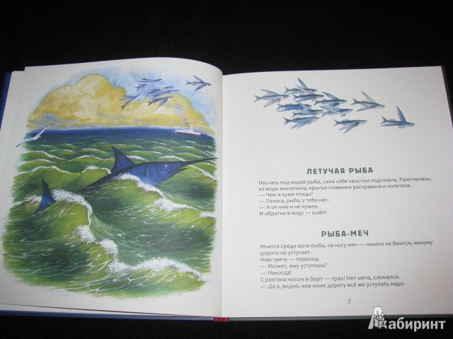 Иллюстрация 51 из 61 для Кто в море живет - Святослав Сахарнов | Лабиринт - книги. Источник: Nemertona