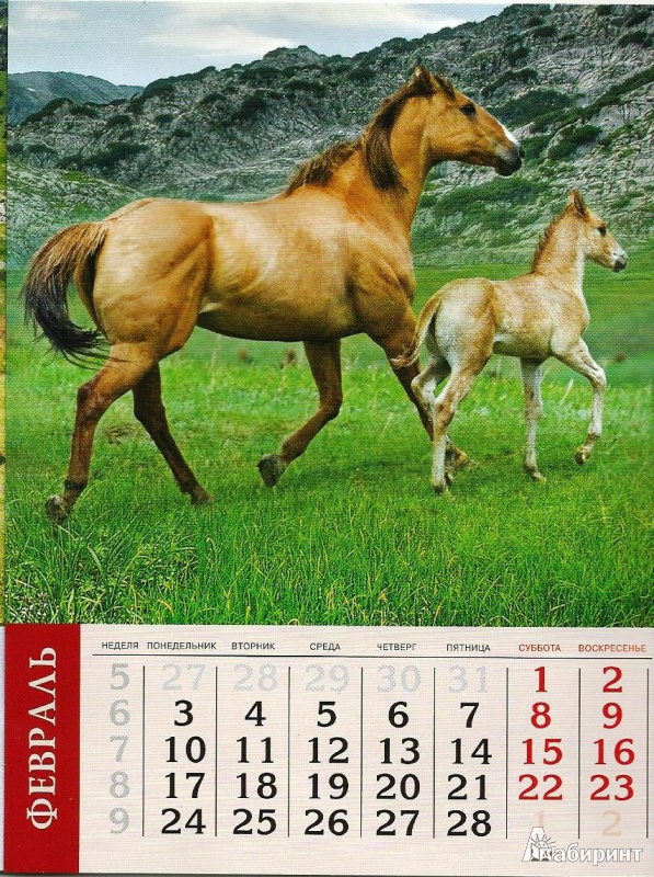 Иллюстрация 5 из 6 для Календарь на 2014 год с магнитным креплением "Символ года. Лошадь 2" (32020) | Лабиринт - сувениры. Источник: Proka