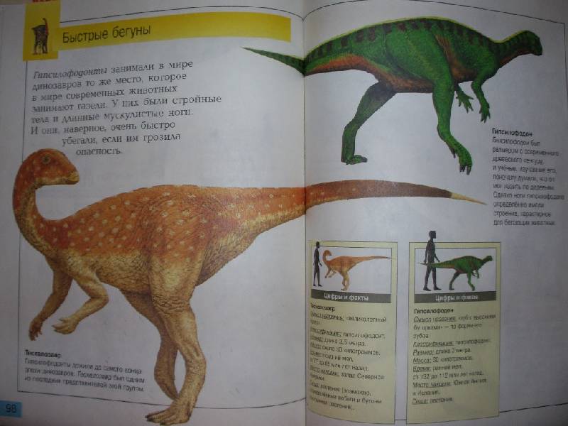 Иллюстрация 6 из 6 для Удивительные динозавры - Дугал Диксон | Лабиринт - книги. Источник: Tiger.