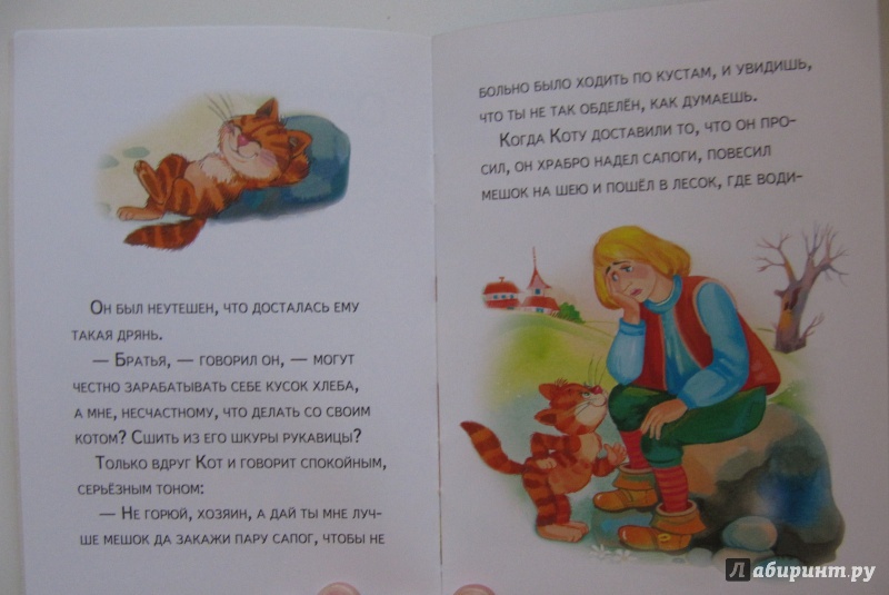 Иллюстрация 6 из 13 для Кот в сапогах | Лабиринт - книги. Источник: Чернова  Анастасия Юрьевна