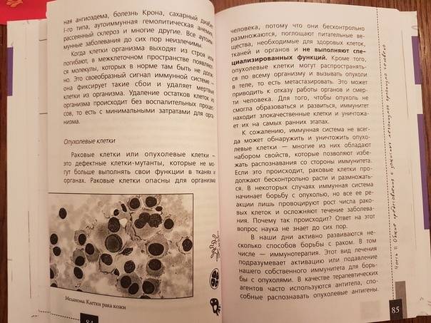 Иллюстрация 10 из 28 для Как работает иммунитет - Екатерина Умнякова | Лабиринт - книги. Источник: Кабацкая  Алина