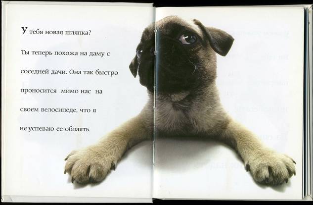 Иллюстрация 8 из 28 для Самые очаровательные собаки | Лабиринт - книги. Источник: * Ольга *
