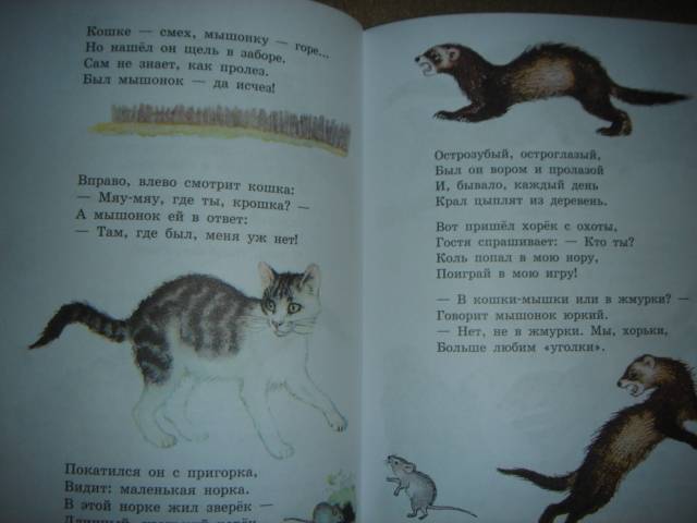Иллюстрация 11 из 16 для Сказки про зверят. 2-5 лет - Самуил Маршак | Лабиринт - книги. Источник: Maxima