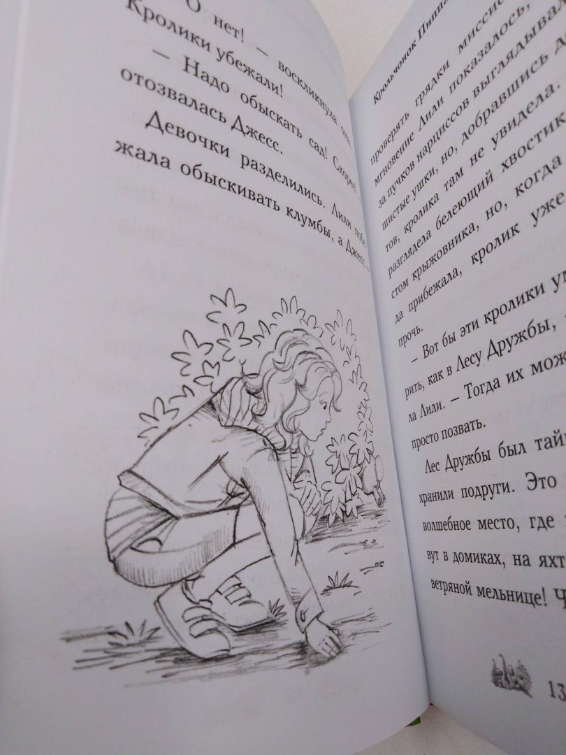 Иллюстрация 17 из 23 для Крольчонок Пиппа, или Алмазный молоточек - Дейзи Медоус | Лабиринт - книги. Источник: Oksasha