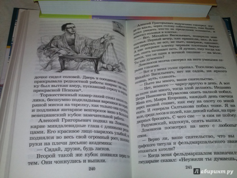 Иллюстрация 19 из 34 для Повести о Ломоносове - Андреев-Кривич, Равич | Лабиринт - книги. Источник: Анна