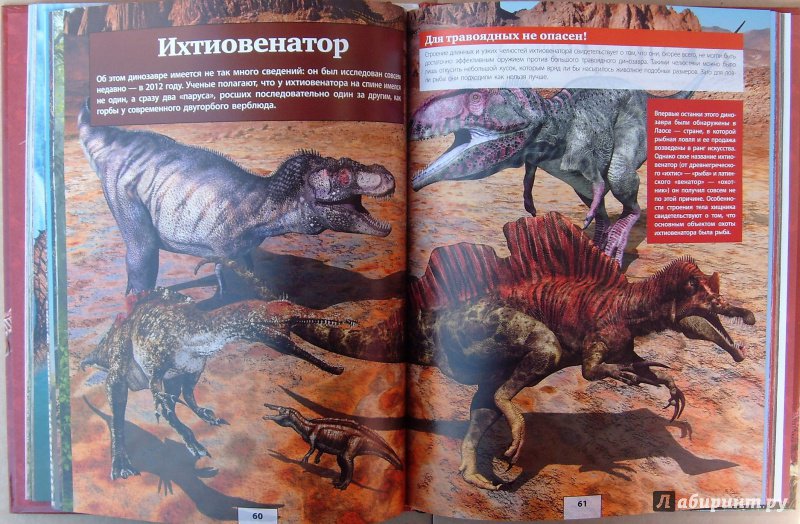 Иллюстрация 30 из 51 для Динозавры - Ликсо, Хомич, Филиппова | Лабиринт - книги. Источник: Соловьев  Владимир