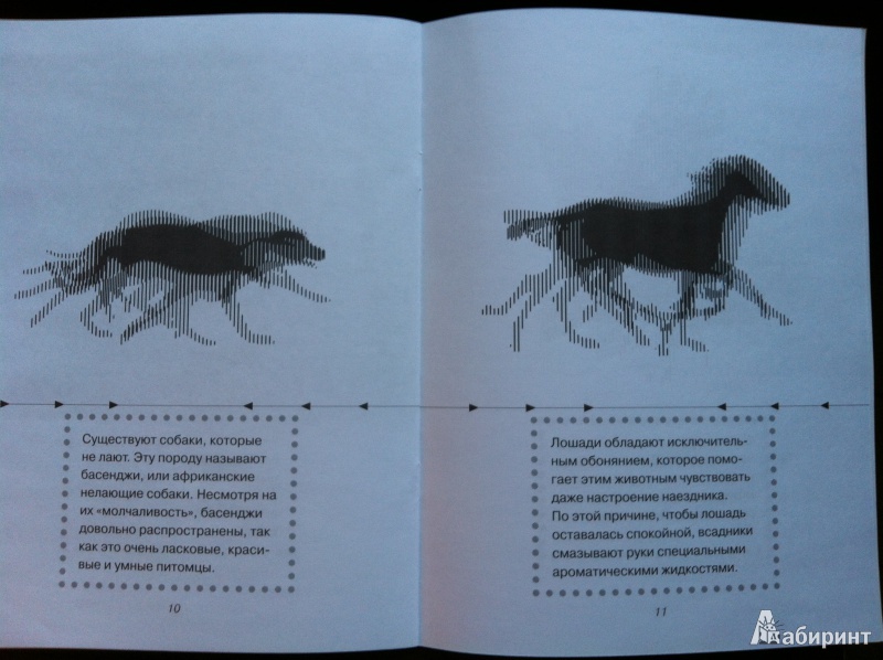 Иллюстрация 11 из 18 для Животные - Марта Дебуш | Лабиринт - книги. Источник: Абра-кадабра