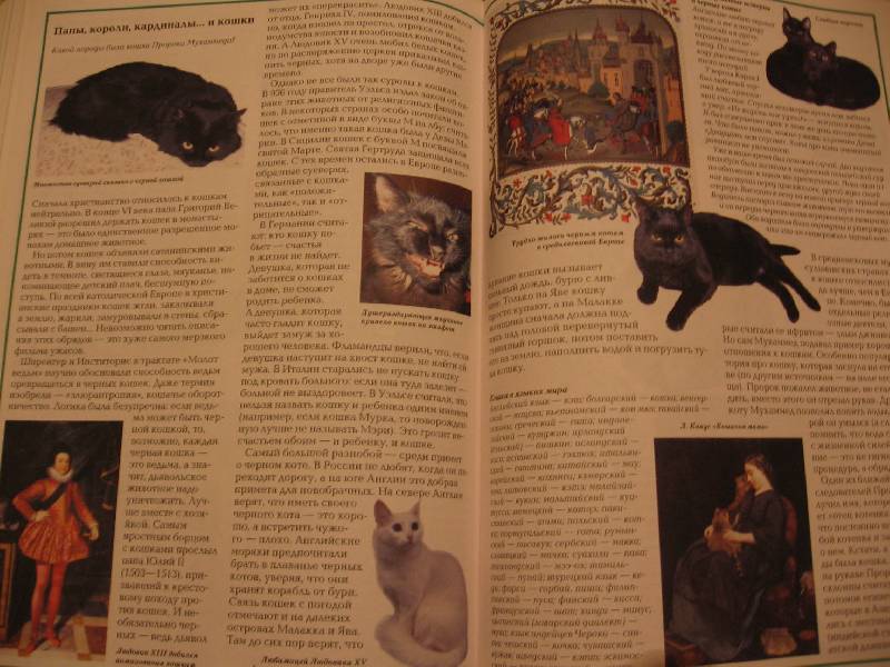 Иллюстрация 7 из 15 для Загадки кошек - Светлана Лаврова | Лабиринт - книги. Источник: Зайчик