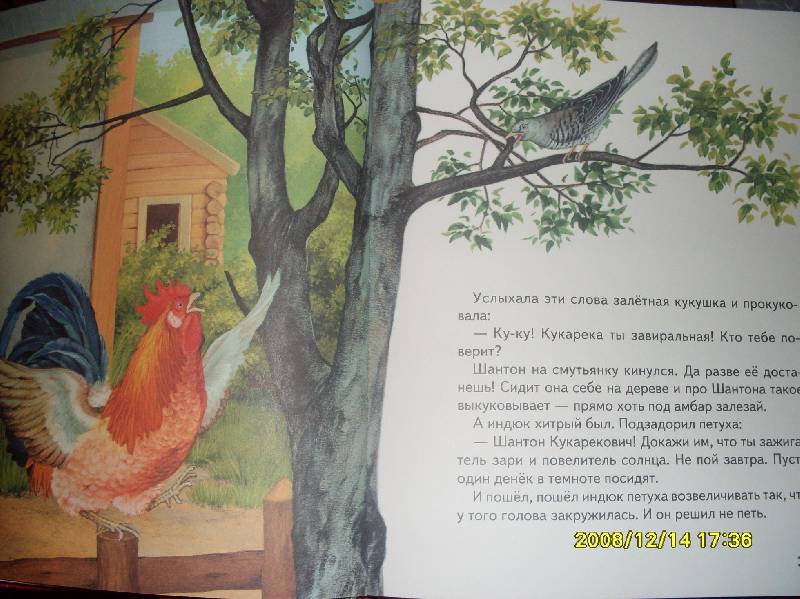 Иллюстрация 12 из 22 для Русские сказки о природе: Чижик-Пыжик - Евгений Пермяк | Лабиринт - книги. Источник: Марта