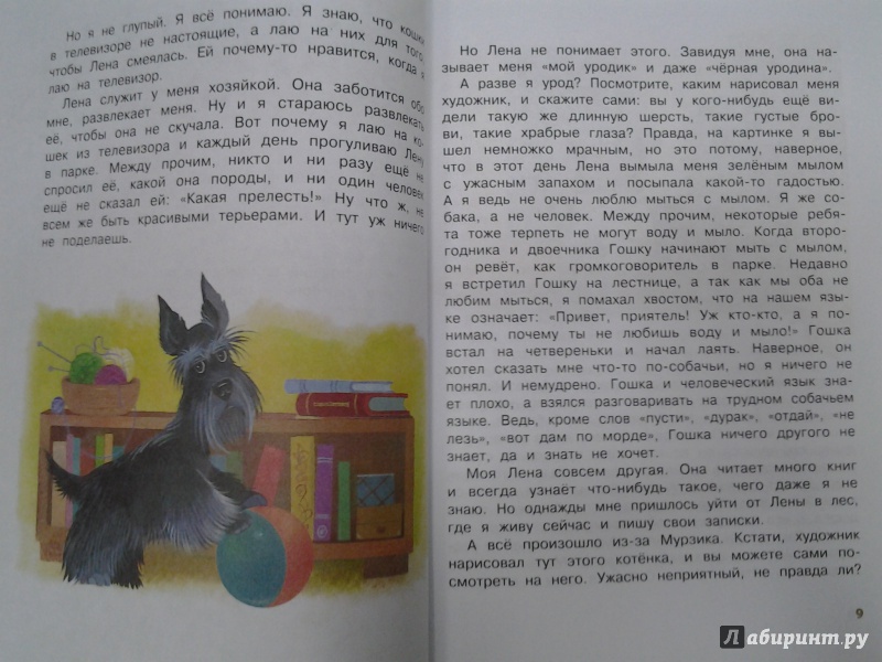 Иллюстрация 49 из 60 для Храбрый Тилли и другие истории - Ларри, Ольгин | Лабиринт - книги. Источник: Olga