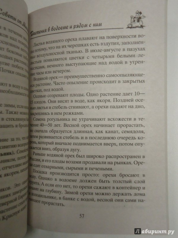 Иллюстрация 13 из 16 для Строительство водоемов на участке своими руками - Николай Звонарев | Лабиринт - книги. Источник: Затерянная