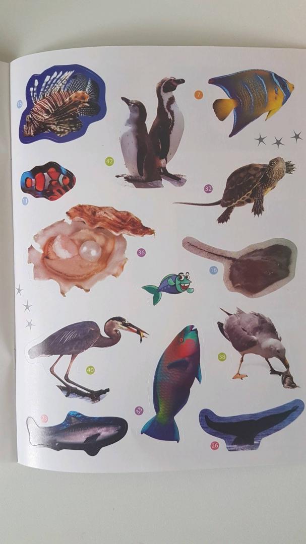 Иллюстрация 27 из 29 для Морские животные. Энциклопедия животных с наклейками | Лабиринт - книги. Источник: Лабиринт