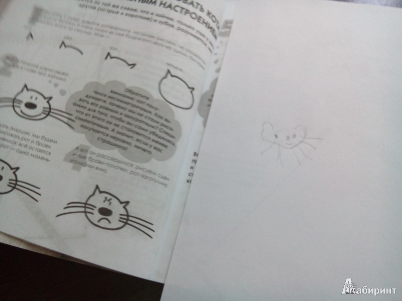 Иллюстрация 17 из 108 для Как нарисовать любую зверюшку за 30 секунд - Павел Линицкий | Лабиринт - книги. Источник: Irynik