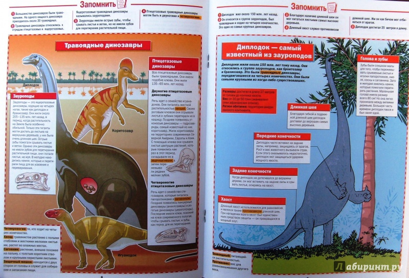 Иллюстрация 7 из 7 для Динозавры | Лабиринт - книги. Источник: Соловьев  Владимир