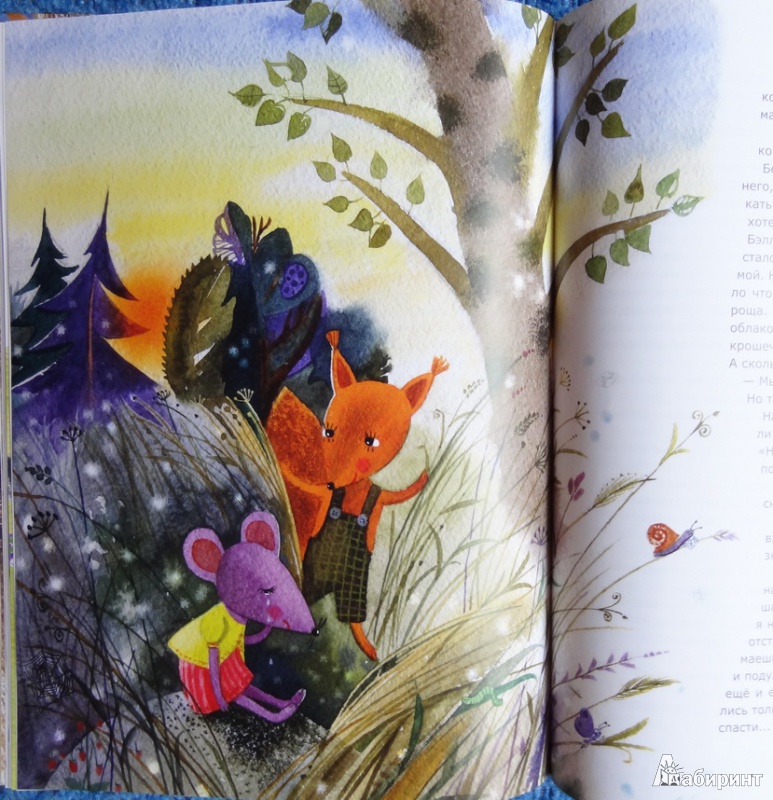 Иллюстрация 36 из 48 для Бельчонок, его друзья и волшебная книга - Ольга Фадеева | Лабиринт - книги. Источник: Лабиринт