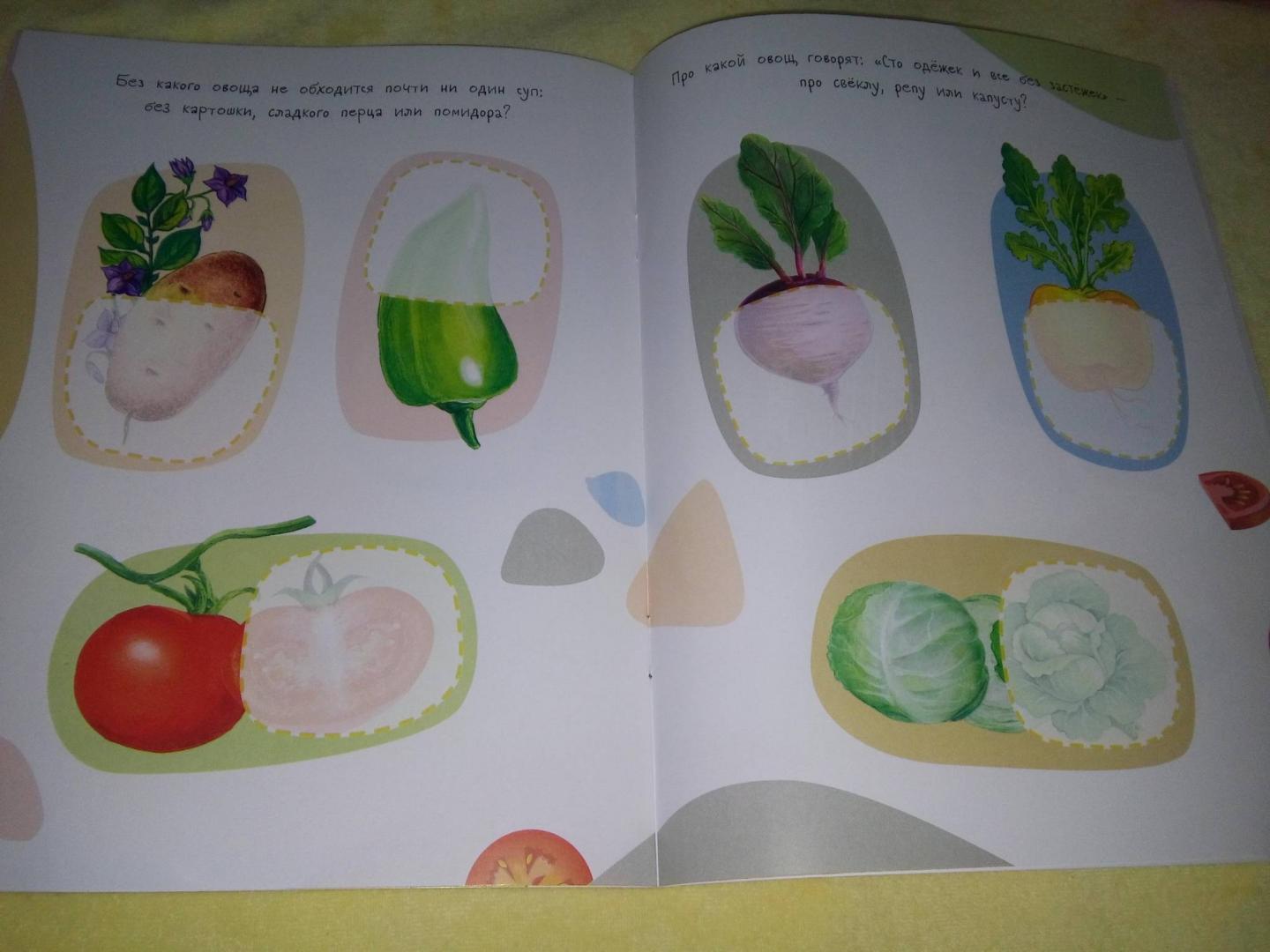 Иллюстрация 11 из 30 для Половинки. Фрукты и овощи. С многоразовыми наклейками | Лабиринт - книги. Источник: Тата Мур