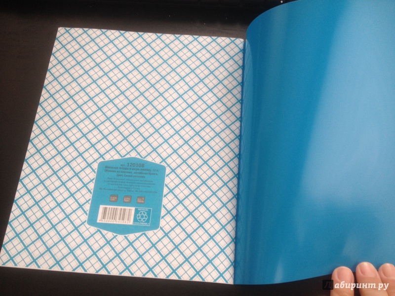 Иллюстрация 6 из 6 для Тетрадь с пластиковой обложкой, 12 листов, косая линейка, синяя (120108) | Лабиринт - канцтовы. Источник: Новик  Екатерина
