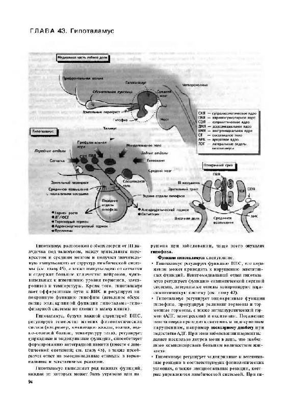 Иллюстрация 15 из 15 для Наглядная неврология - Баркер, Нил, Барази | Лабиринт - книги. Источник: Юта