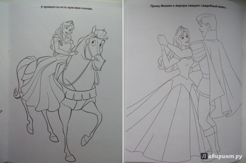 Иллюстрация 25 из 27 для Волшебная раскраска. Принцессы (№13231) | Лабиринт - книги. Источник: Мелкова  Оксана