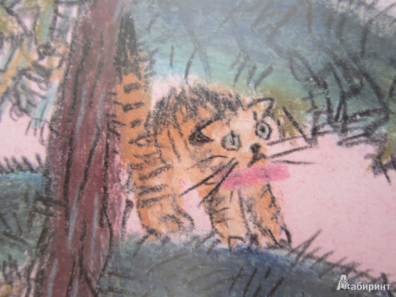 Иллюстрация 32 из 50 для Кот и пёс - Татьяна Макарова | Лабиринт - книги. Источник: ЮлияО