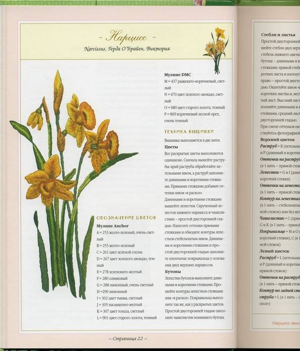 Иллюстрация 7 из 20 для Вышитые цветы | Лабиринт - книги. Источник: * Ольга *