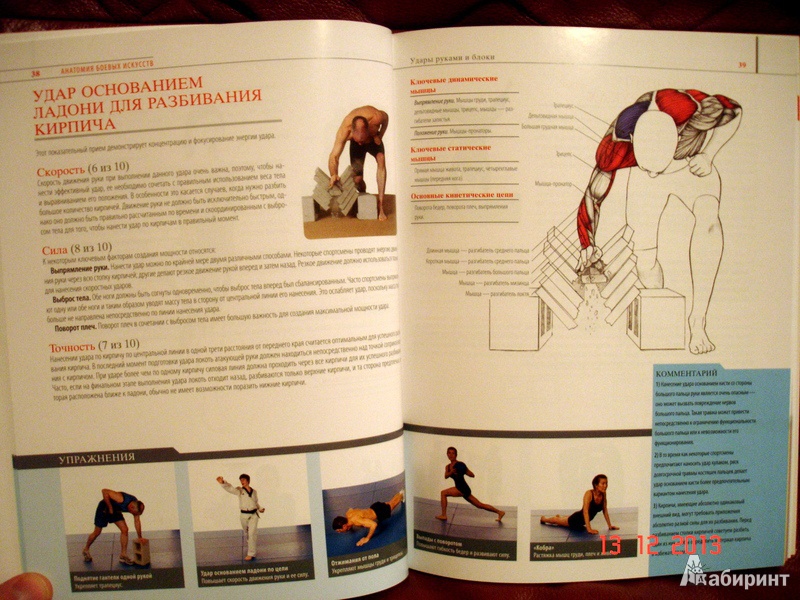 Иллюстрация 5 из 8 для Анатомия боевых искусств - Чоу, Линк | Лабиринт - книги. Источник: Kassavetes