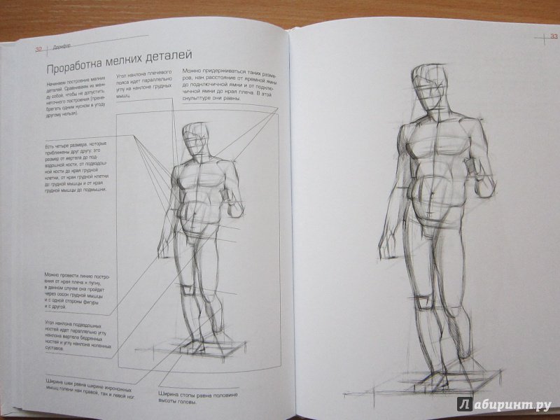 Иллюстрация 19 из 23 для Как рисовать фигуру человека. Пособие для поступающих в художественные вузы - Александр Рыжкин | Лабиринт - книги. Источник: Кулыгина  Елена