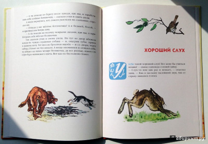 Иллюстрация 8 из 49 для Клетчатый гусь - Рахиль Баумволь | Лабиринт - книги. Источник: Olga