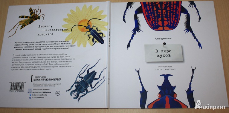 Иллюстрация 20 из 43 для В мире жуков. Интересные факты о животных - Стив Дженкинс | Лабиринт - книги. Источник: КНИЖНОЕ ДЕТСТВО