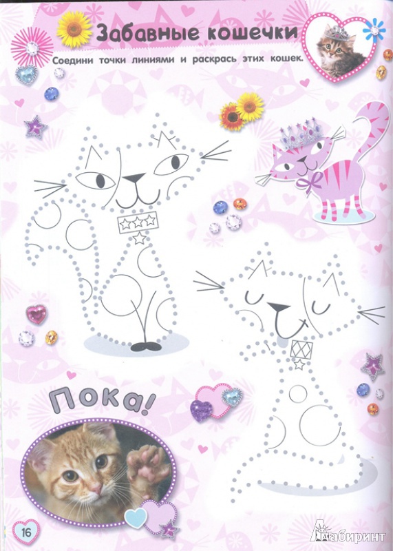 Иллюстрация 14 из 17 для Почеши за ушком! Котята: такие милые... | Лабиринт - книги. Источник: Тесла