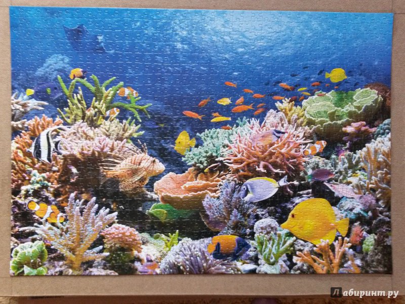 Иллюстрация 13 из 24 для Puzzle-1000 Коралловый риф | Лабиринт - игрушки. Источник: Мурашова  Юлия